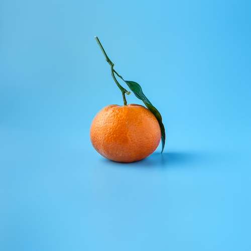 mae-mu-U1iYwZ8Dx7k-unsplash