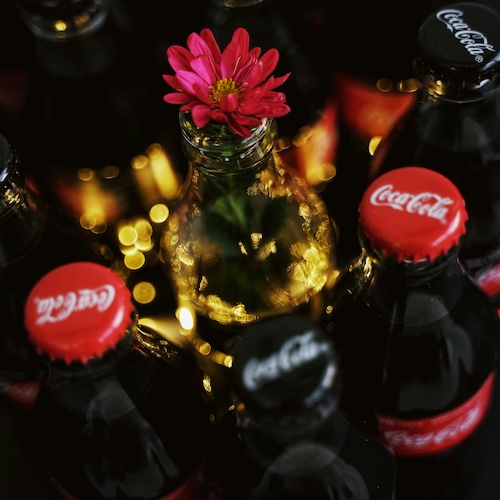 olena-bohovyk-PM5jcy0MLWA-unsplash